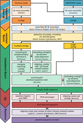 IS26-Mediated Transfer of blaNDM–1 as the Main Route of Resistance Transmission During a Polyclonal, Multispecies Outbreak in a German Hospital